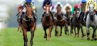 Best female jockey - Hollie Doyle