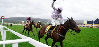 Mares Novice Hurdle Trends