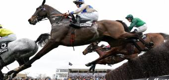 Champion Chase stats and trends