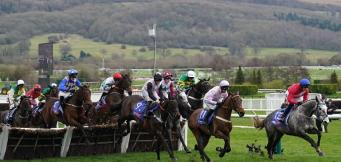 Supreme Novices Hurdle Trends