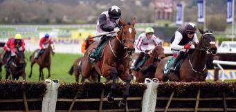 Teahupoo wins 2024 Stayers Hurdle and is favourite for next year's race