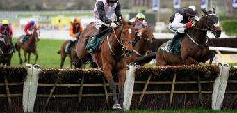 Stayers Hurdle Trends for Cheltenham