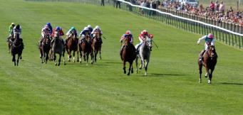 Frankel sensational in the 2000 Guineas at Newmarket