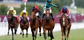 Horses To Follow Throughout The 2024 Flat Season