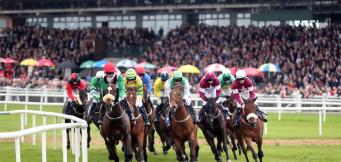 Fairyhouse - one of the leading racecourses in Ireland