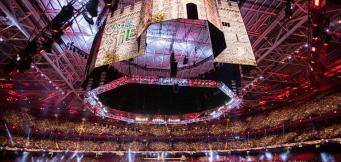 How much is Roman Reigns worth?