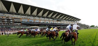 Tips Royal Ascot 2025