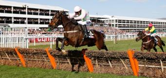 Ruby Walsh - former jockey now pundit - at Cheltenham