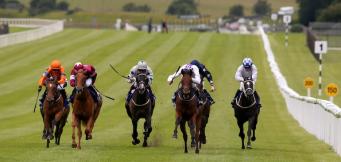 Racing at the Curragh