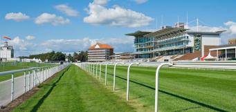 York Racecourse
