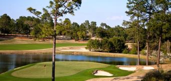 Betting Guide & Strategy for US Open Golf 2024