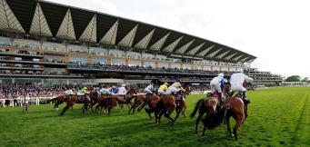 Most successful trainers at Royal Ascot and most successful jockeys at Royal Ascot