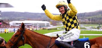 Cheltenham Winners