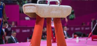 Pommel Horse is Max Whitlock's best event
