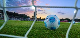 Enzo Maresca Net Worth