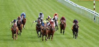 Sprint Cup Ante-Post Tips