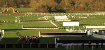 Horses to follow in the 2025/26 jumps season.