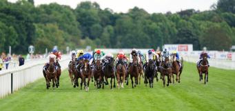 Antepost tips York Ebor Handicap for 2025