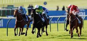 Cesarewitch Handicap Ante Post