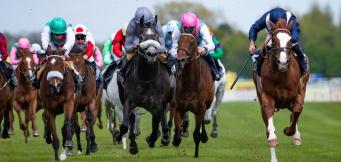Champion Stakes tips