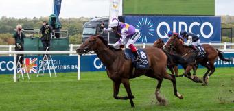 Ascot in the British Champions Sprint Stakes