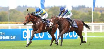 Long Distance Cup Antepost Tips