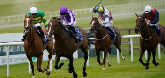 Ante Post tips on Prix de l'Arc