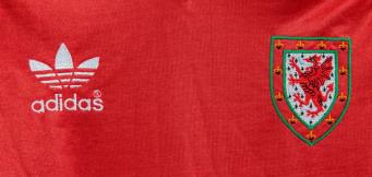 Best players to play for Wales in football