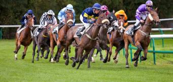 Gordon Elliott Stable Tour