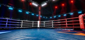 Boxing fights take place in a ring