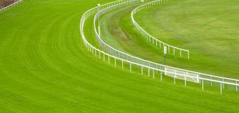 Haydock Park hosts the Betfair Chase