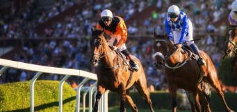 Coral Gold Cup antepost tips