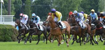 Who is owner JP McManus