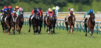 Rachael Blackmore Net Worth