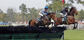 Best Horse Racing hurdlers