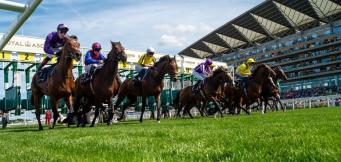 2025 Royal Ascot Results