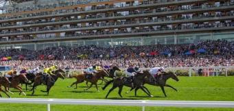 Aidan O'Brien Net Worth