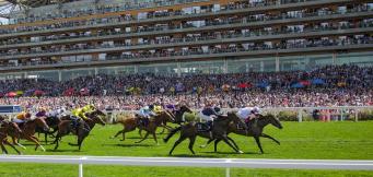 Horse Racing Meetings and Races in July 2025