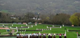 Cheltenham Tips