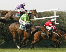 Becher Chase 2019 Preview