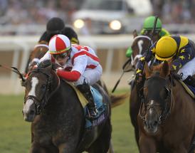 Horse Racing - Caspian Caviar Gold Cup