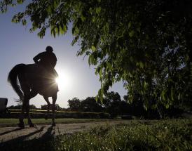 Horse racing on New Year's Day at Cheltenham