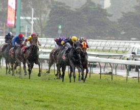 Horse Racing Gamble Landed