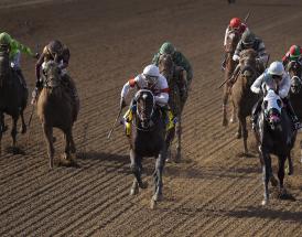 Betting Tips And Horse Racing Strategy