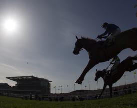 2020 Peter Marsh Chase Tips