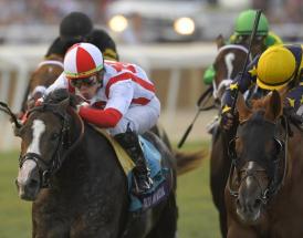 Towton Chase Wetherby Horse Racing