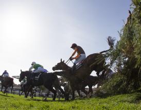 Grand National Horse Racing Tips 2020