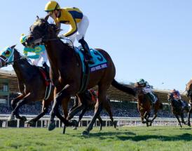 Cheltenham Festival 2020 Champion Hurdle Preview