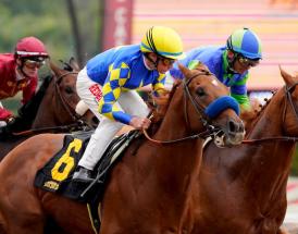 Antepost Cheltenham Festival 2021