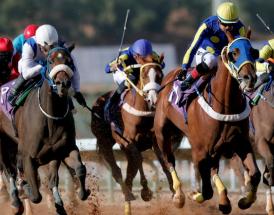 Cheltenham Gold Cup Day Four